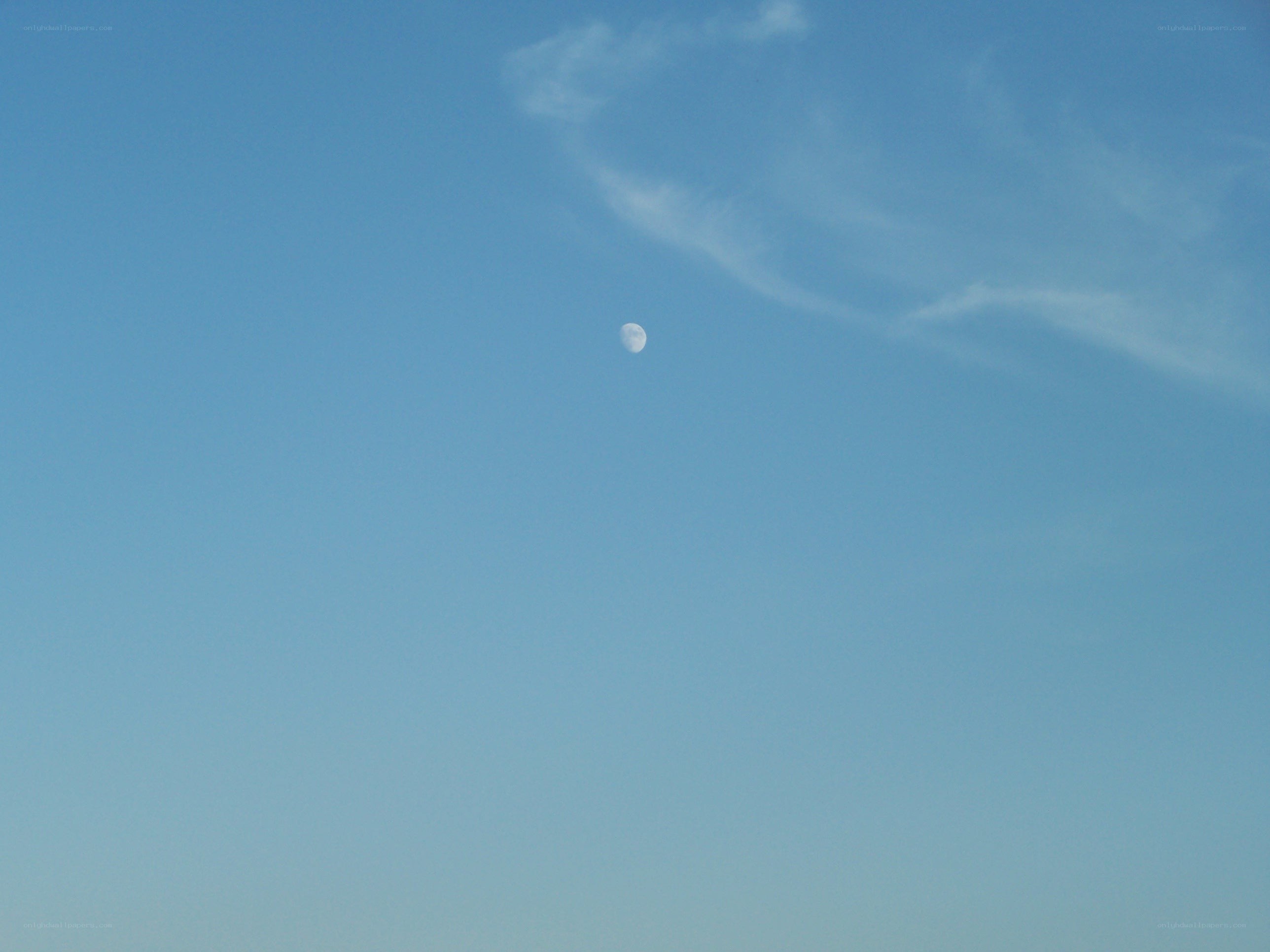 Moon in a blue sky