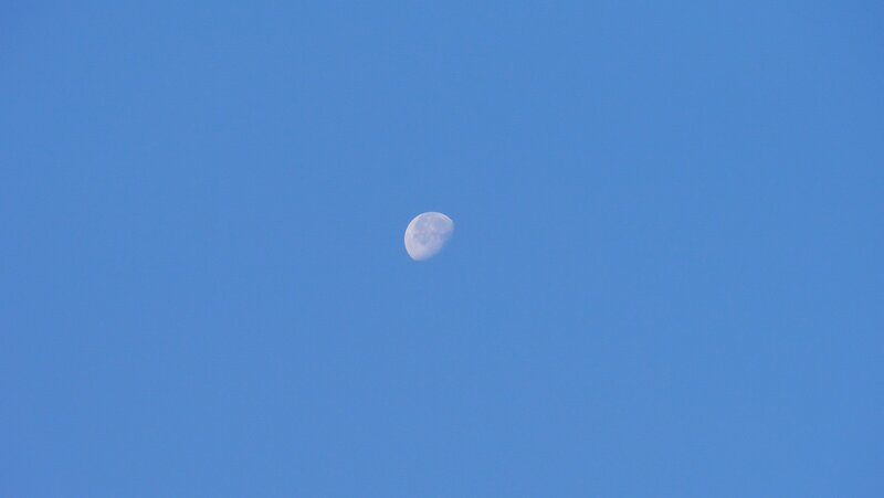 Moon in a clear blue sky