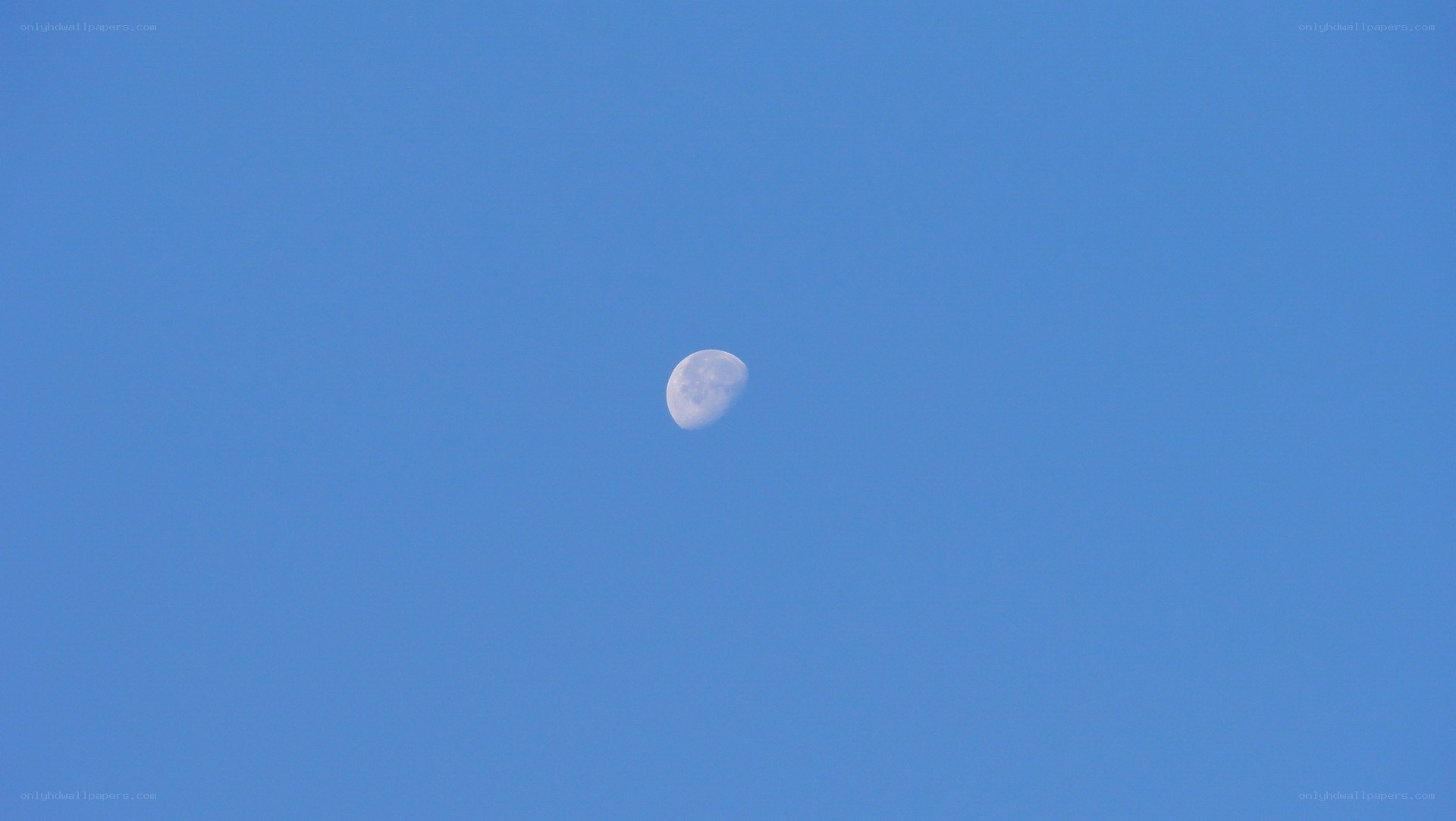 Moon in a clear blue sky