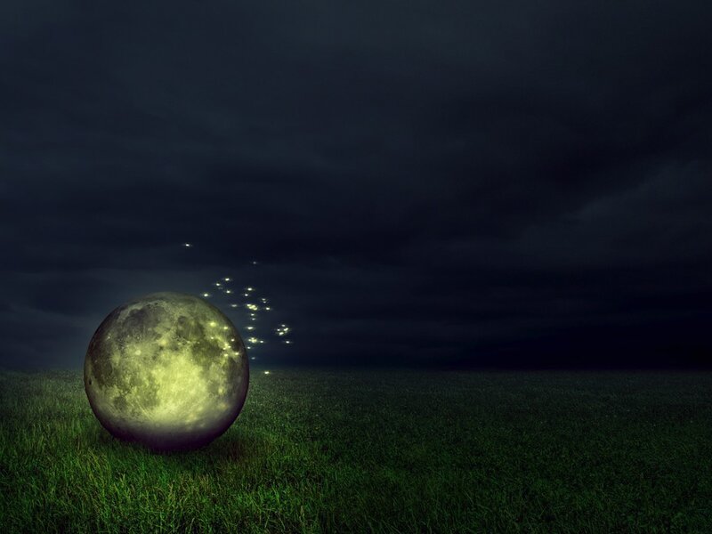 Moon in a field at night