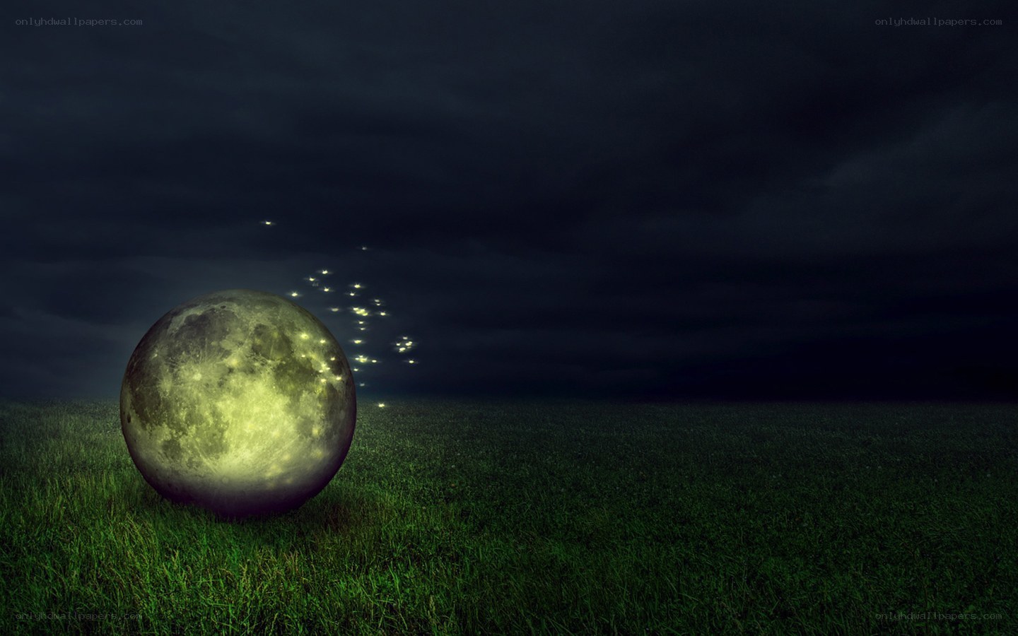 Moon in a field at night