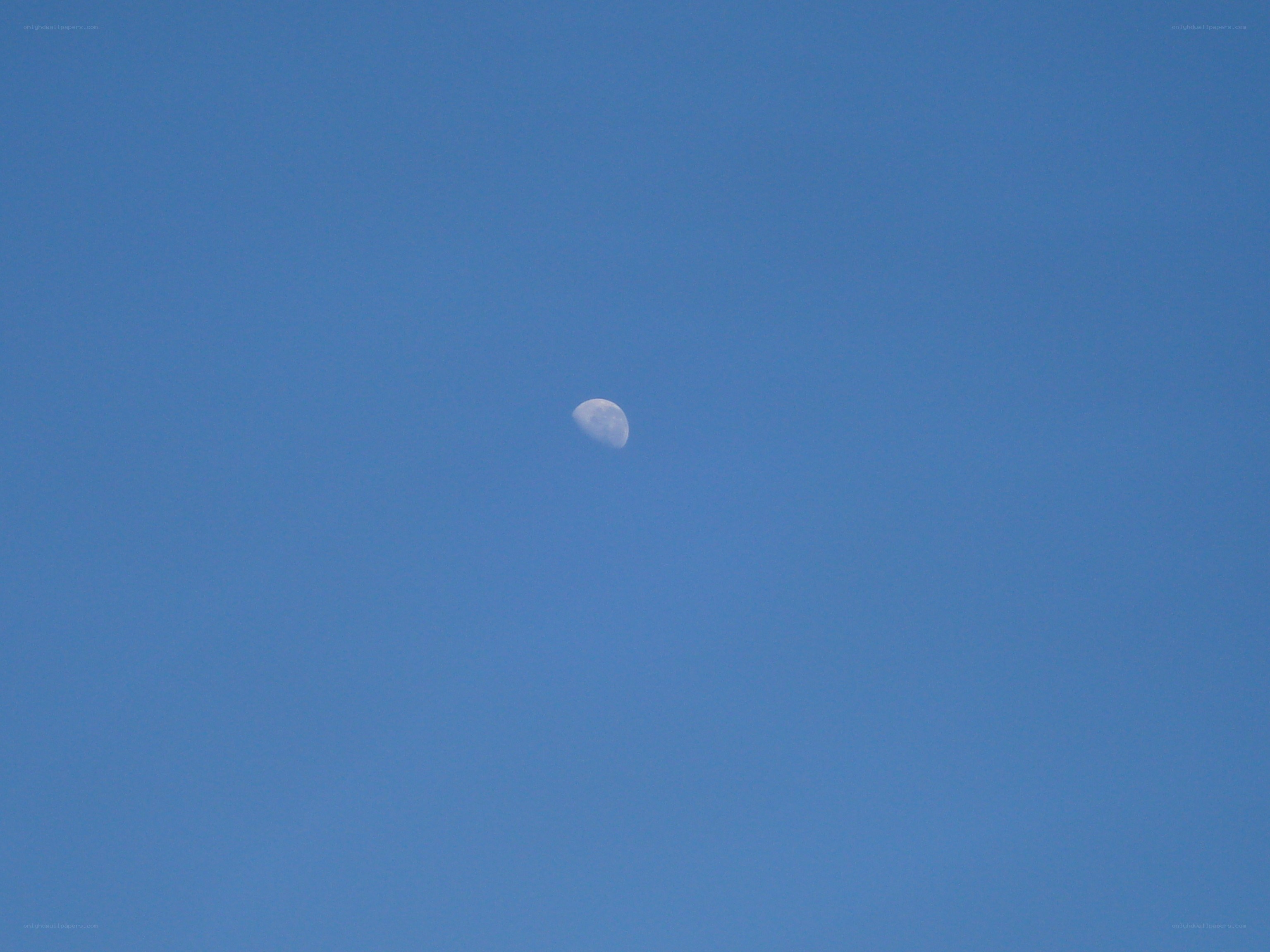 Moon in blue sky