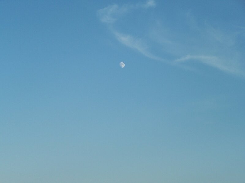 Moon in Blue Sky — Morning