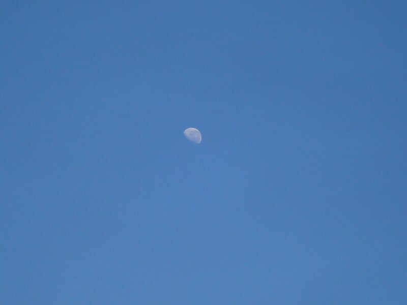 Moon in Blue Sky — Photograph