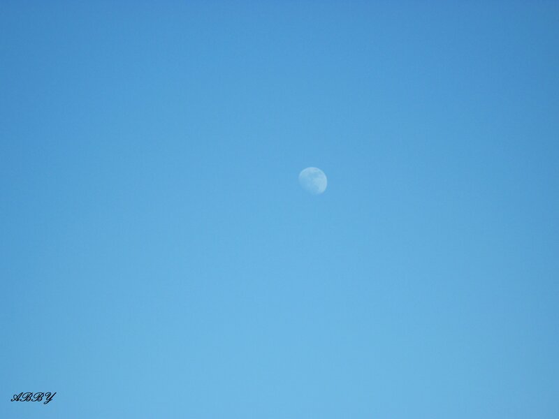 Moon in Blue Sky — Serene, Afternoon, Photograph