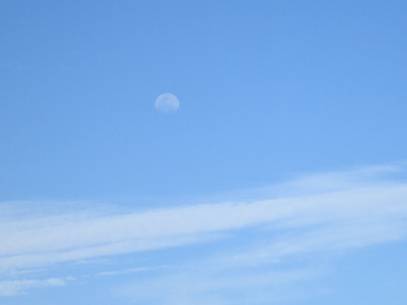 Moon in Blue Sky — Serene, Morning, Photograph, Clouds