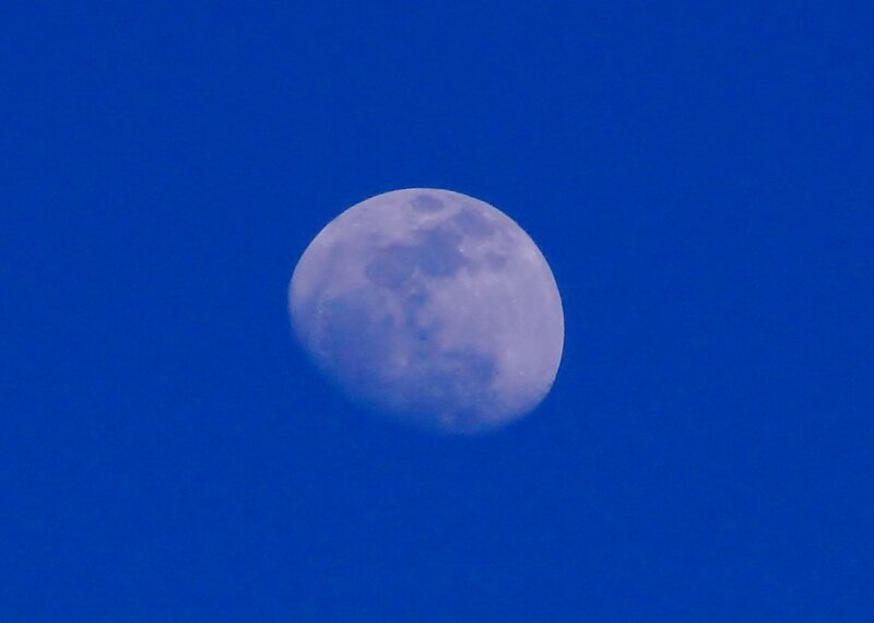 Moon in Blue Sky — Serene, Night, Photograph, Gray
