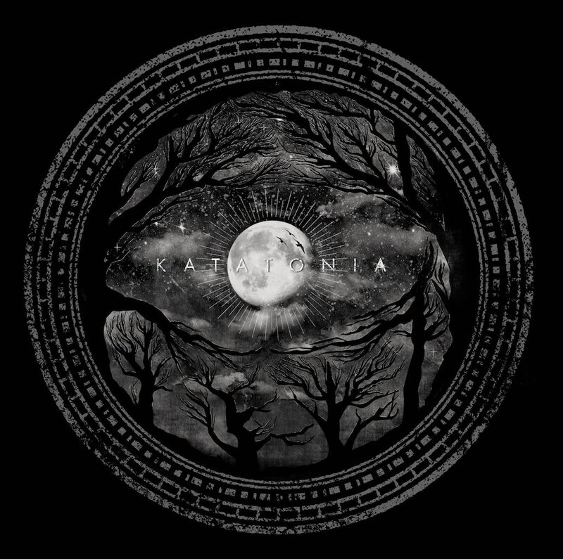 Moon in Forest Canopy