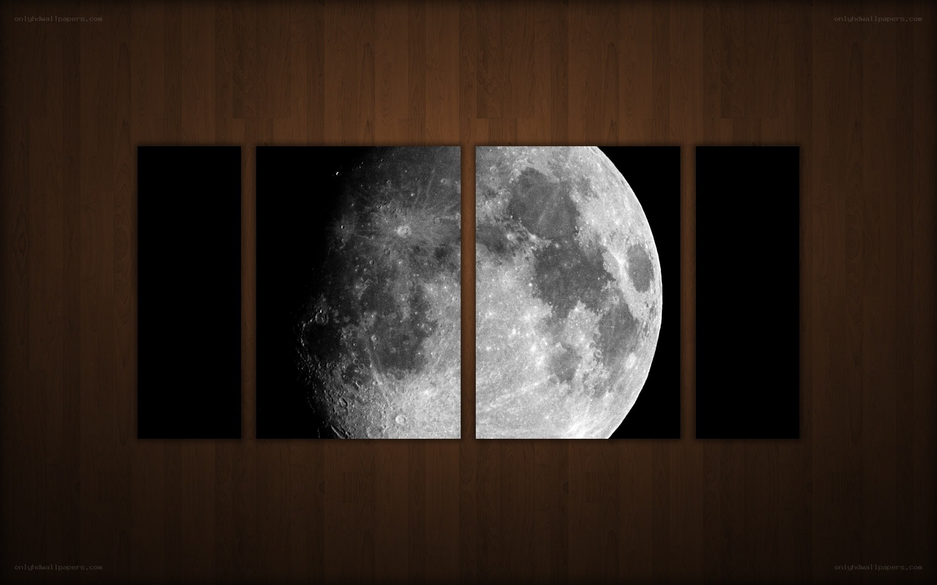 Moon in Four Panels