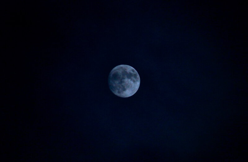 Moon in Night Sky — Blue, Serene, Photograph