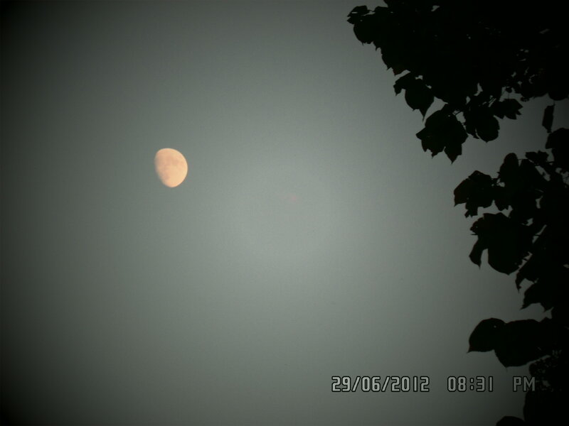 Moon in Night Sky — Gray, Calm