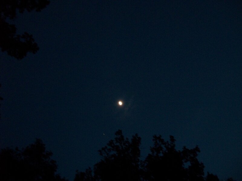 Moon in Night Sky