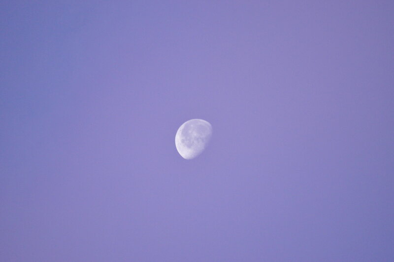 Moon in Purple Sky