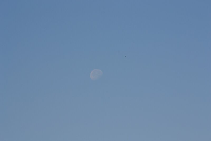 Moon in the daytime sky