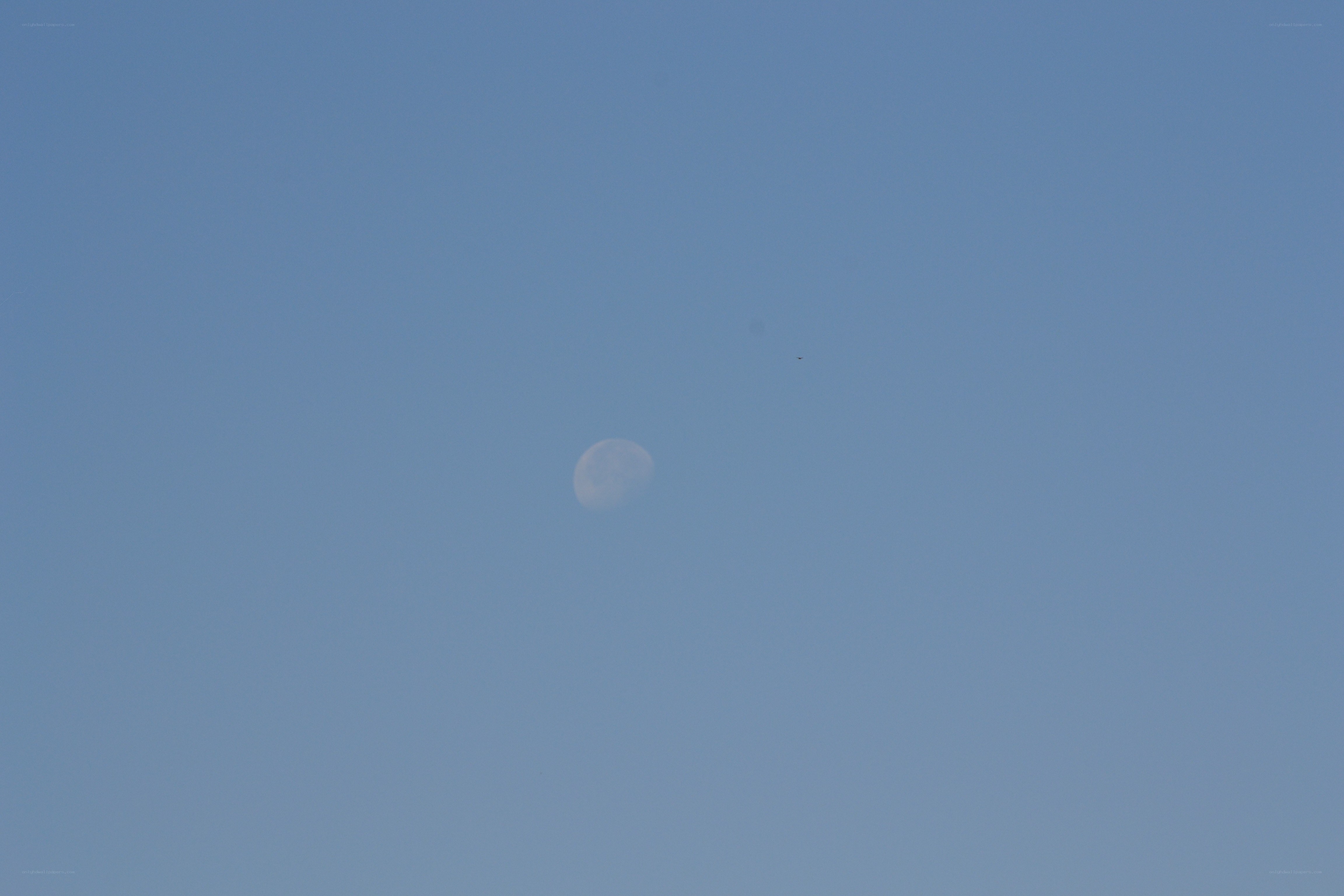 Moon in the daytime sky