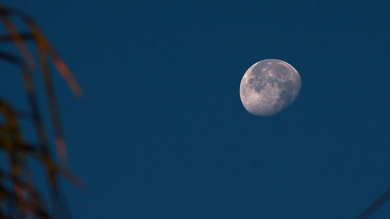 Moon in the evening sky