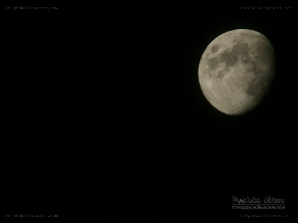 Moon in the night sky