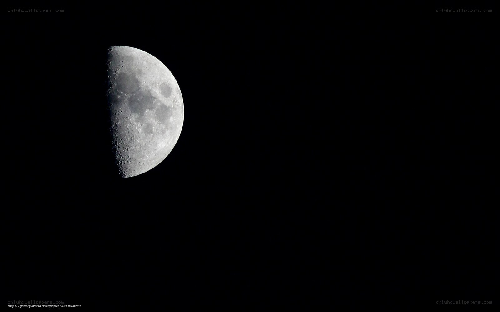 Moon in the night sky