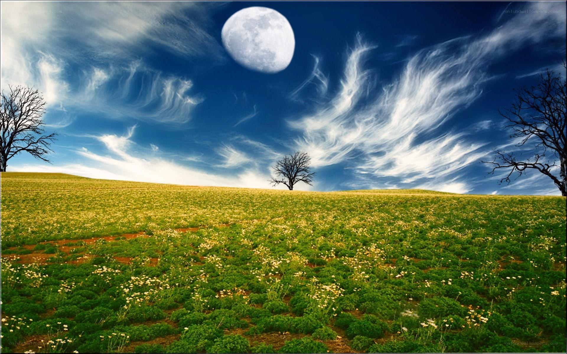 Moon over a green field
