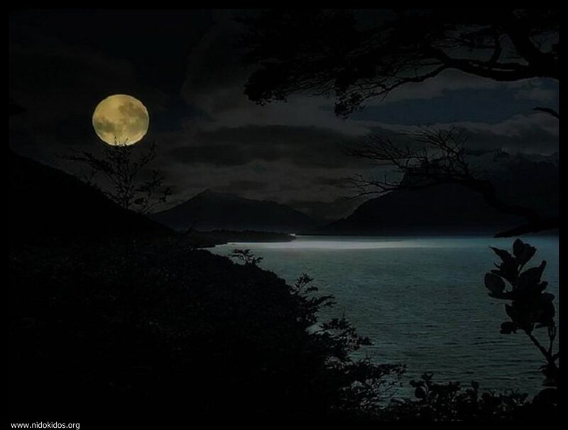 Moon over a lake at night