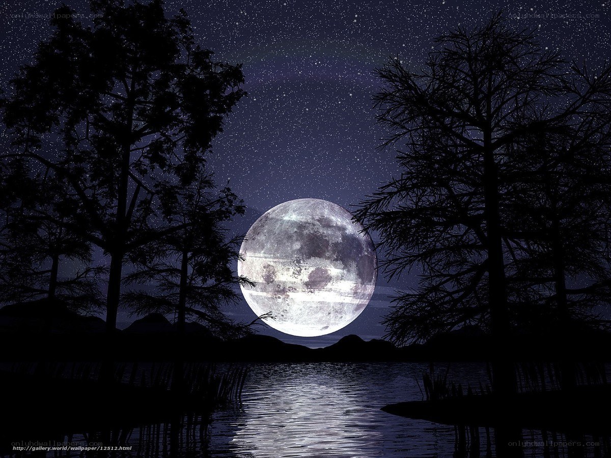 Moon over a lake at night