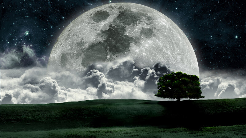 Moon over a lone tree