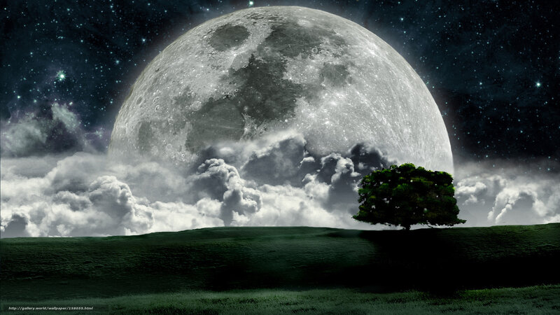 Moon over a lone tree