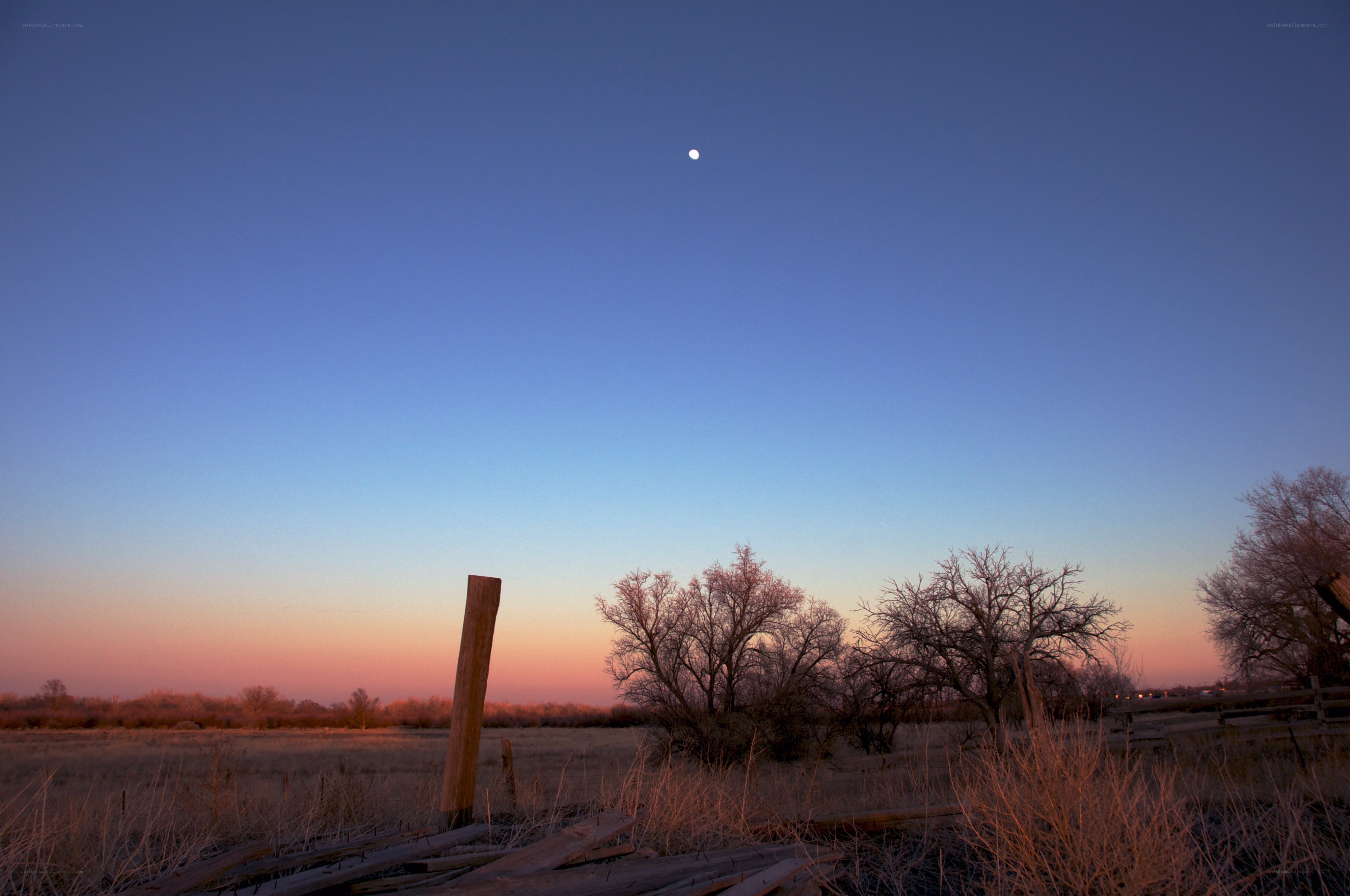 Moon over a rural field