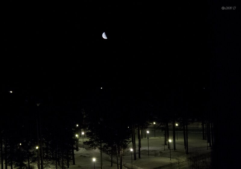 Moon over a snowy park