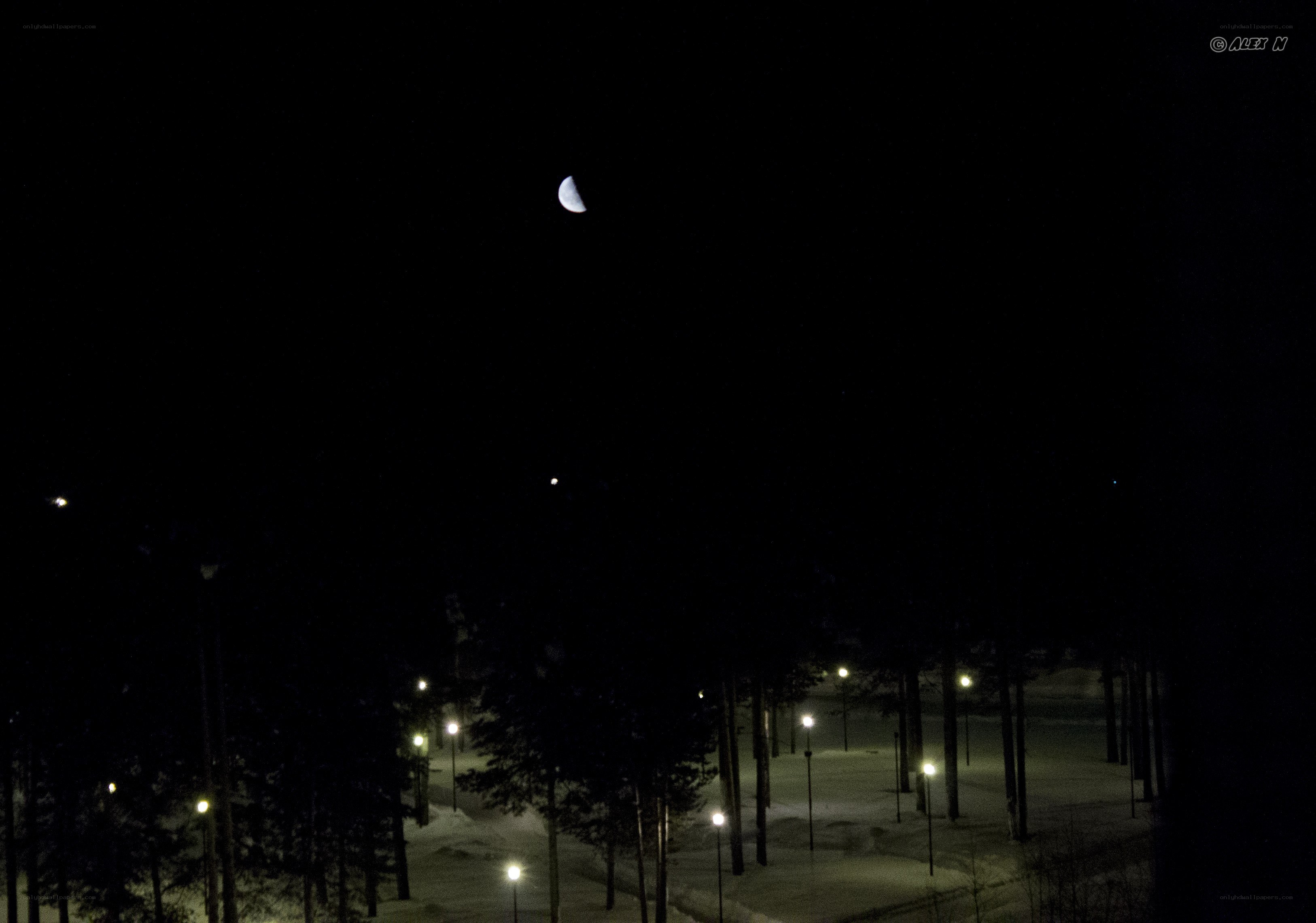 Moon over a snowy park