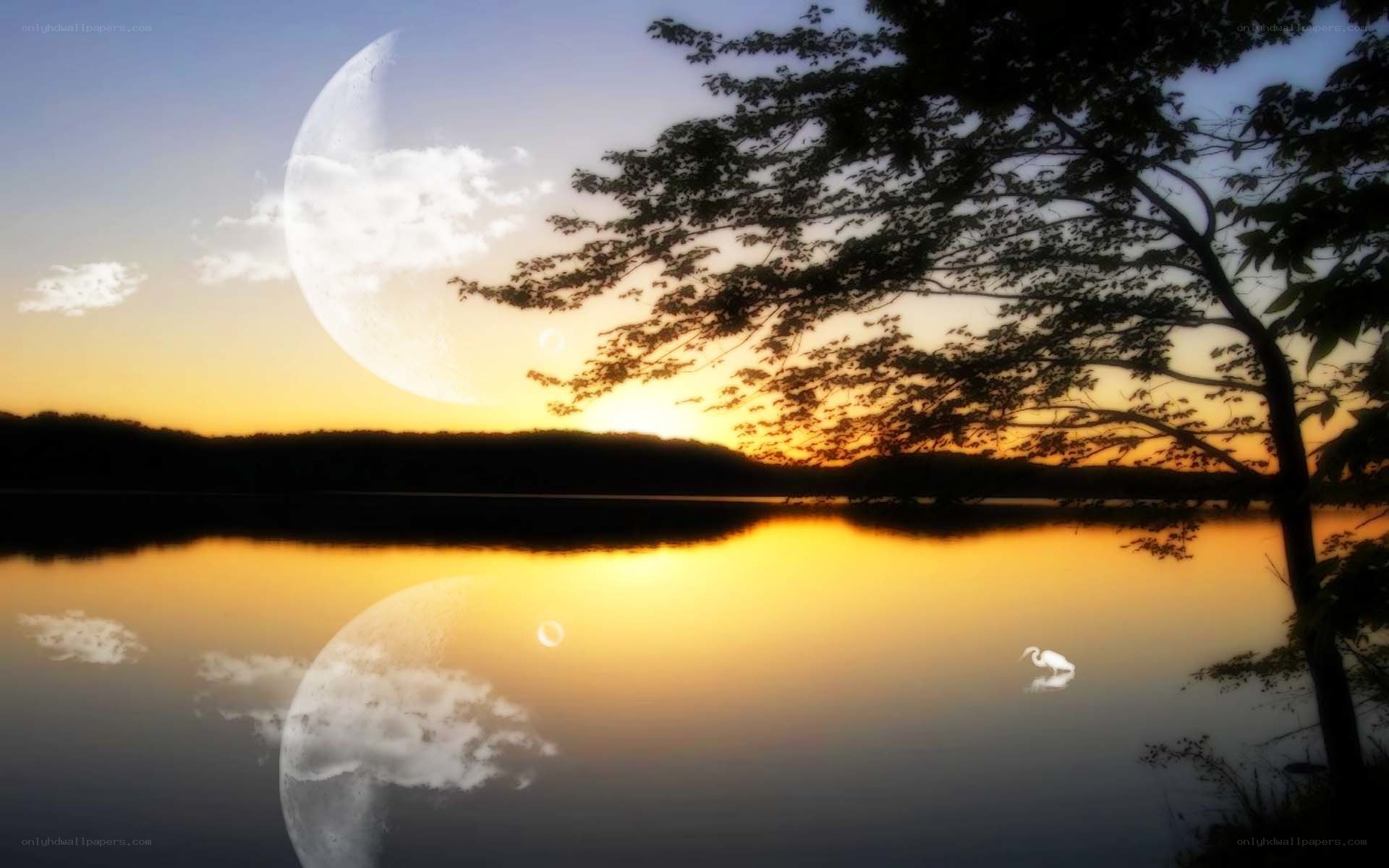Moon over a tranquil lake