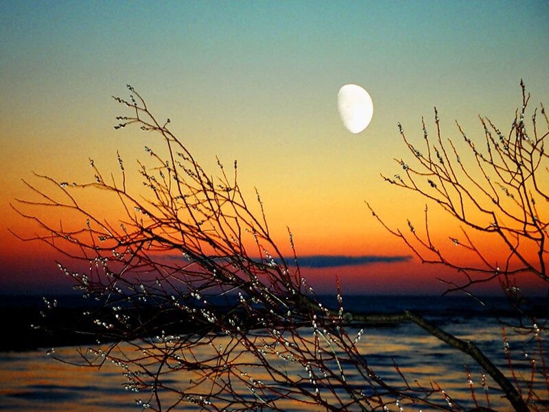 Moon over a tranquil lake
