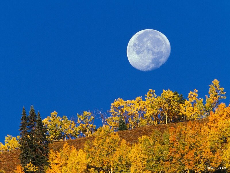 Moon over Autumn Trees — Blue