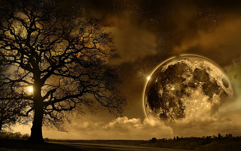 Moon over bare tree
