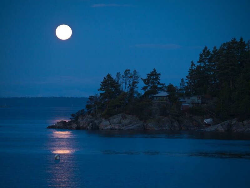 Moon over coastal cove