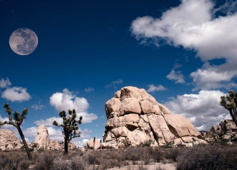 Moon over Desert Rocks