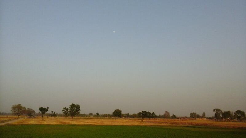 Moon over Fields
