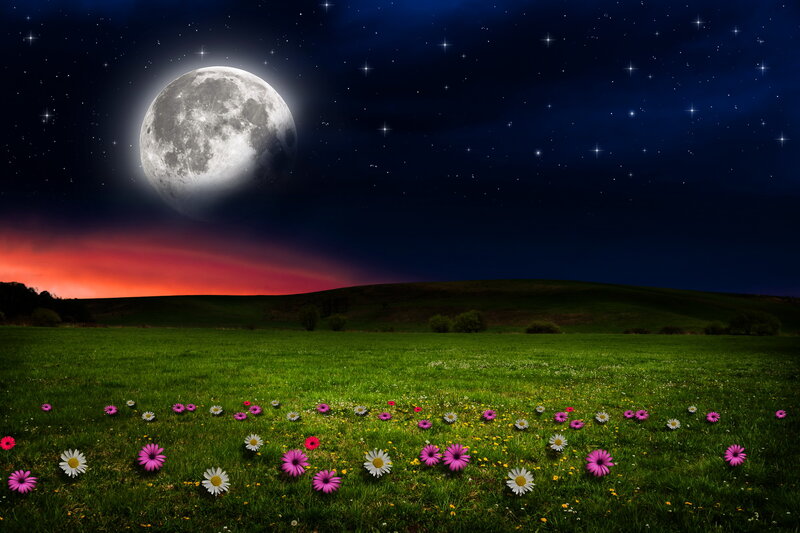 Moon over Flower Field