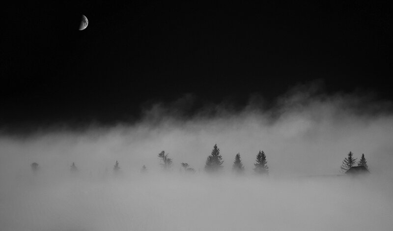 Moon over Foggy Trees