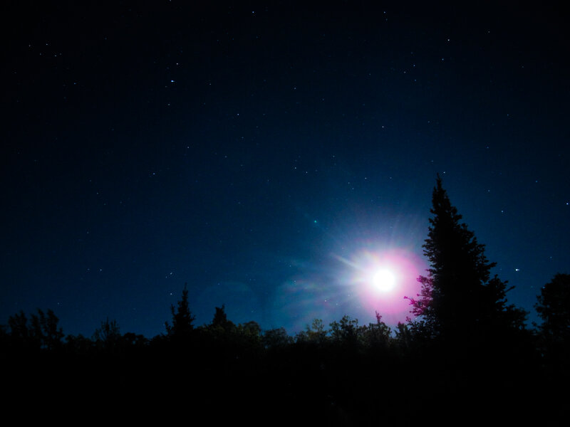 Moon over Forest — Blue