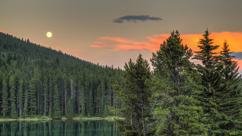 Moon over Forest Lake — Green