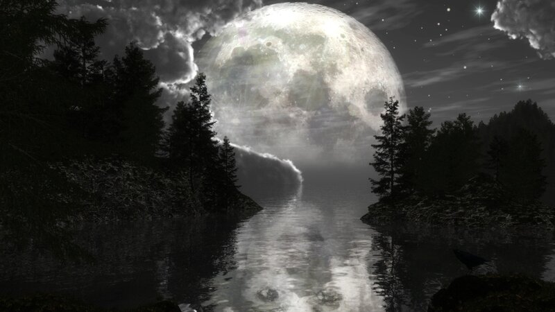 Moon over forest lake