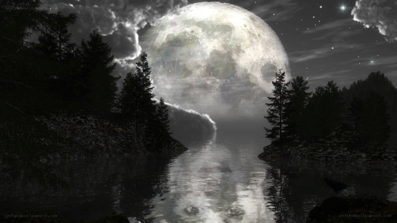Moon over forest lake