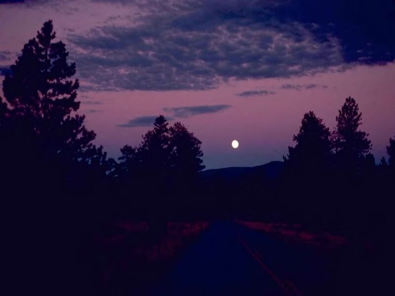 Moon over Forest Road