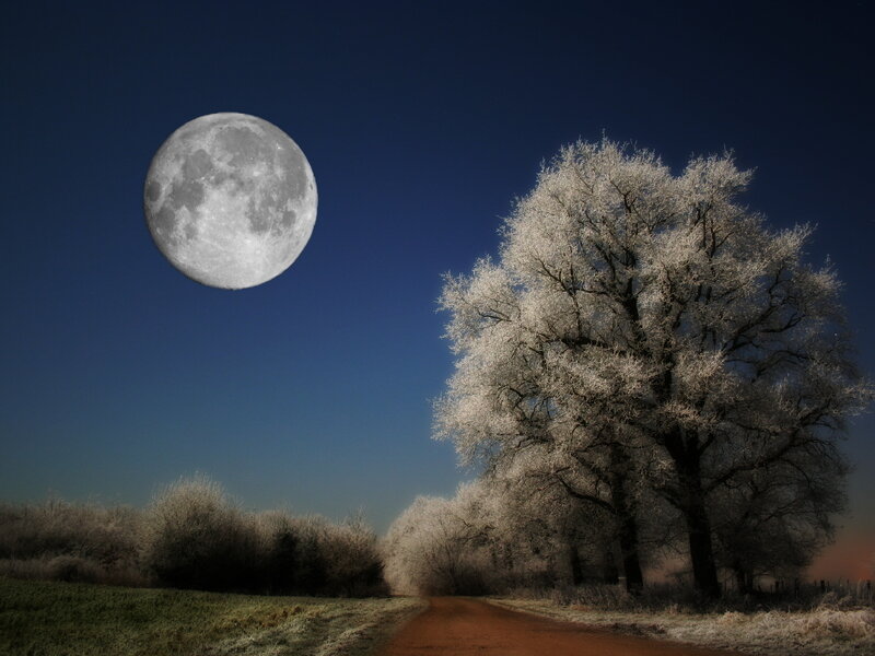 Moon over frosty tree