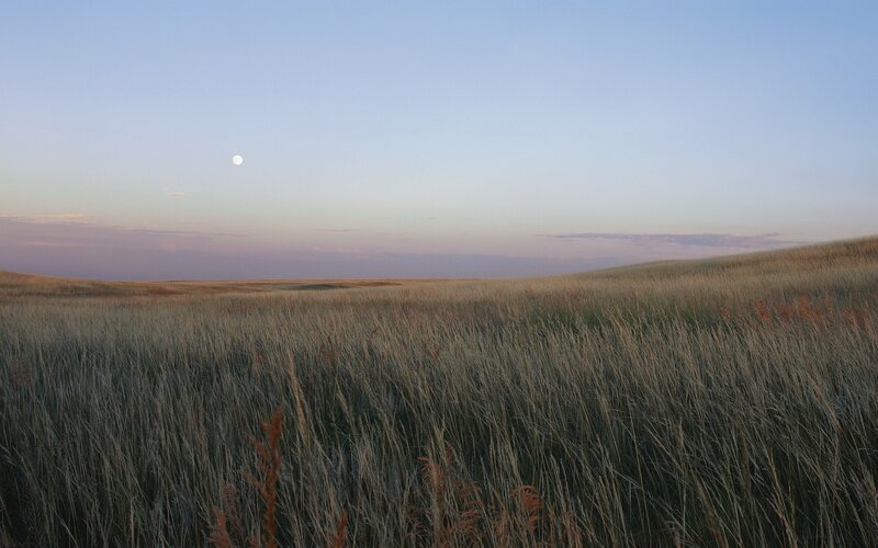 Moon over grassy plains