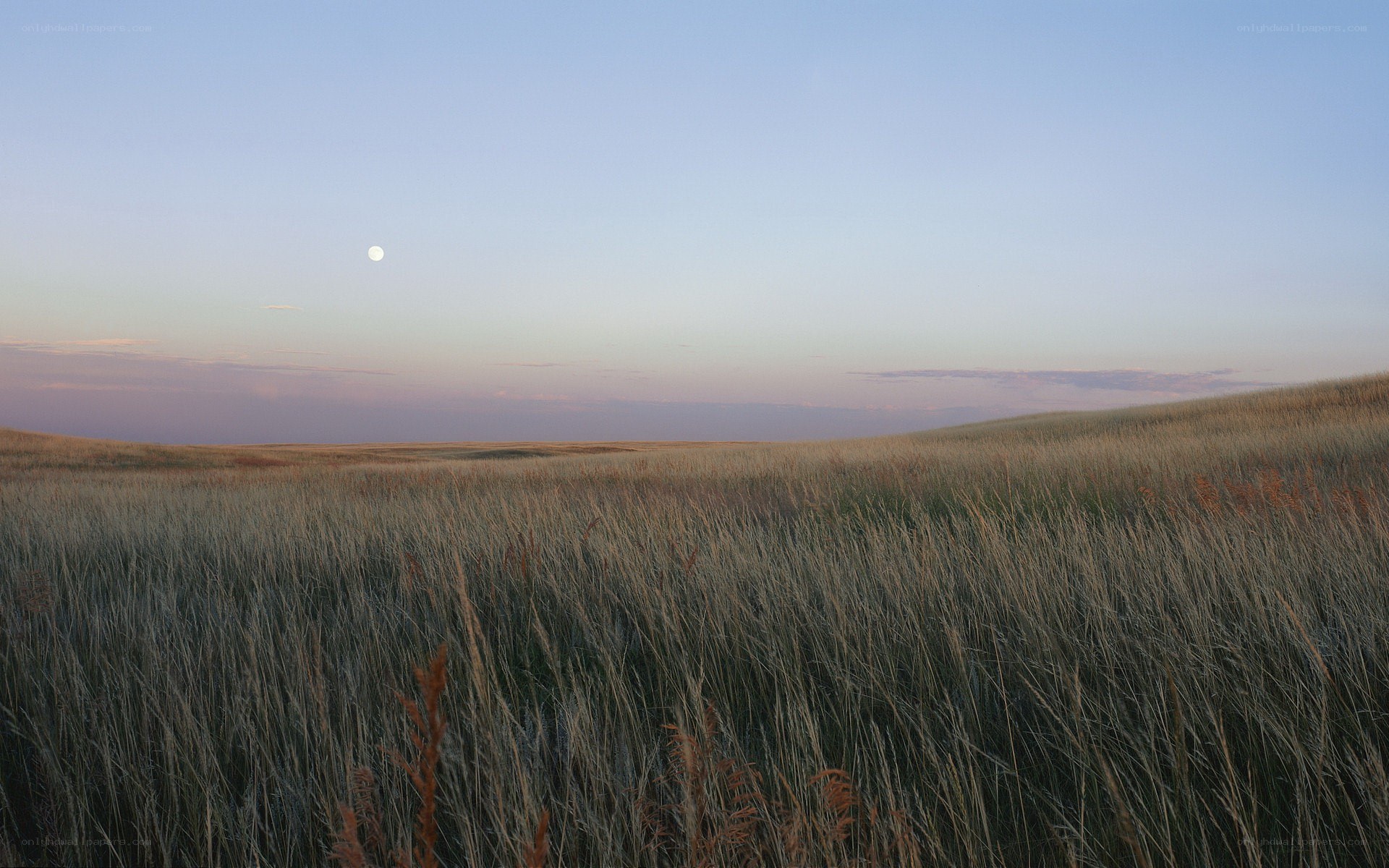 Moon over grassy plains