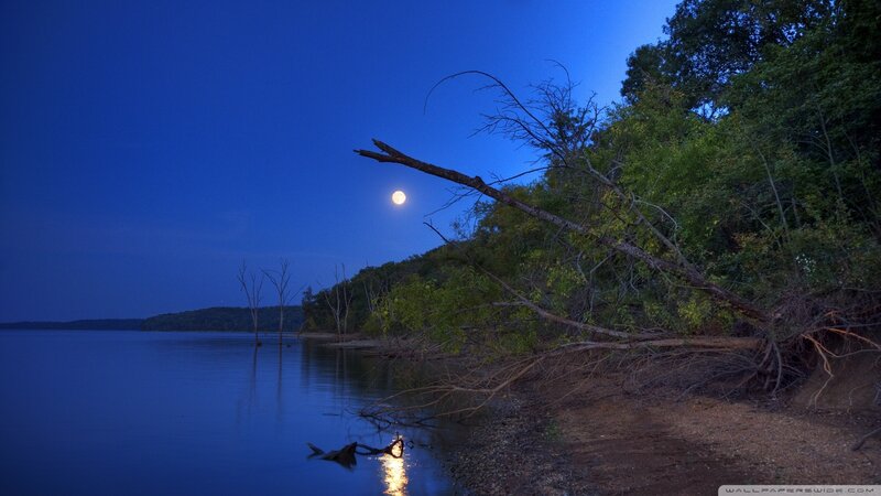 Moon over Lake at Night — Blue, Serene