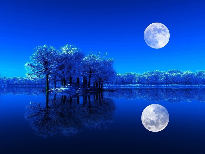 Moon over Lake — Blue, Serene, Night, Digital Art, Trees