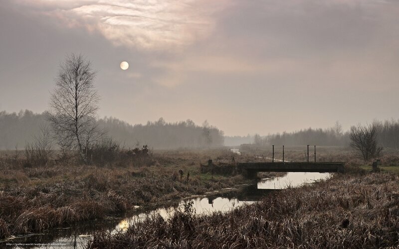 Moon over Marshland